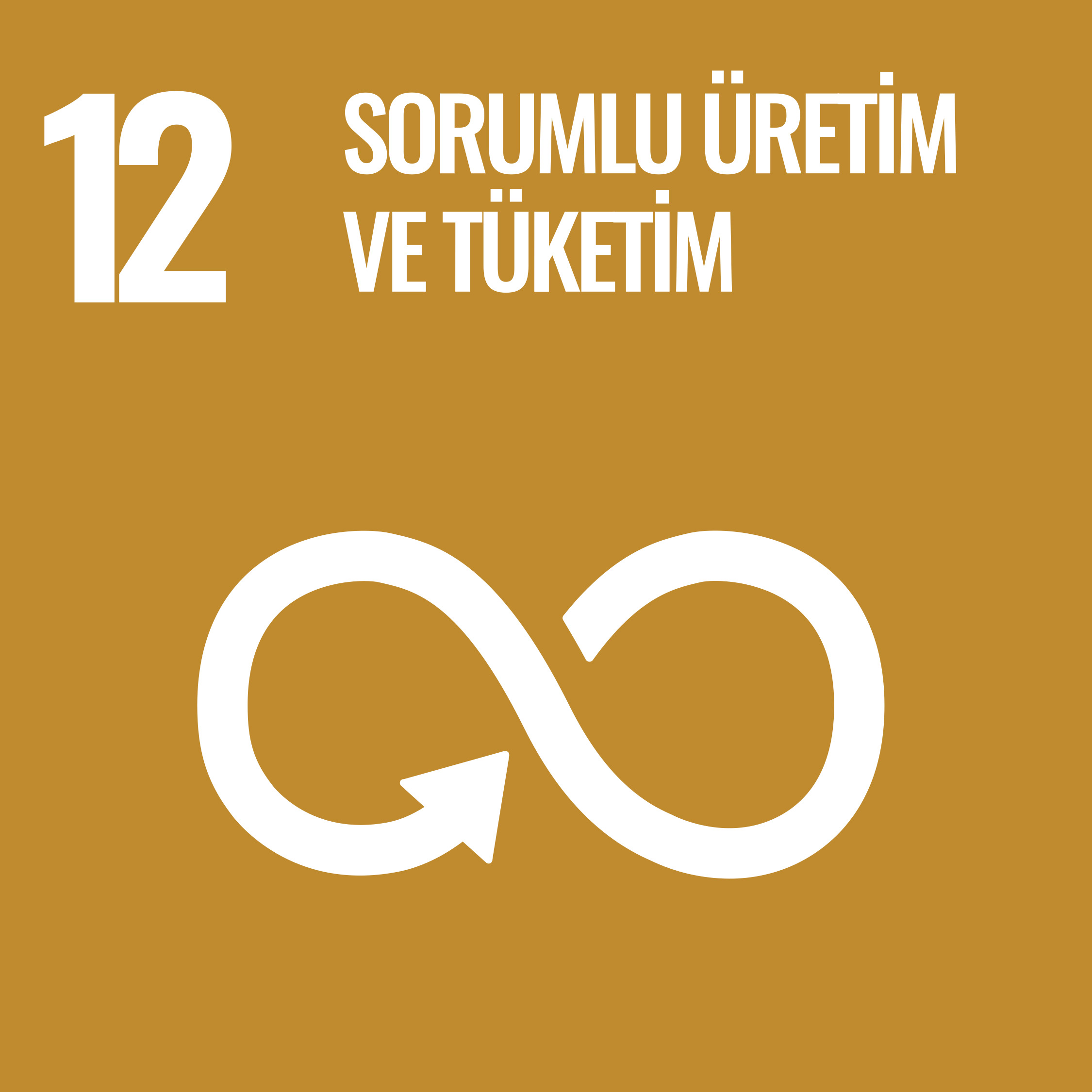 SDG-12
