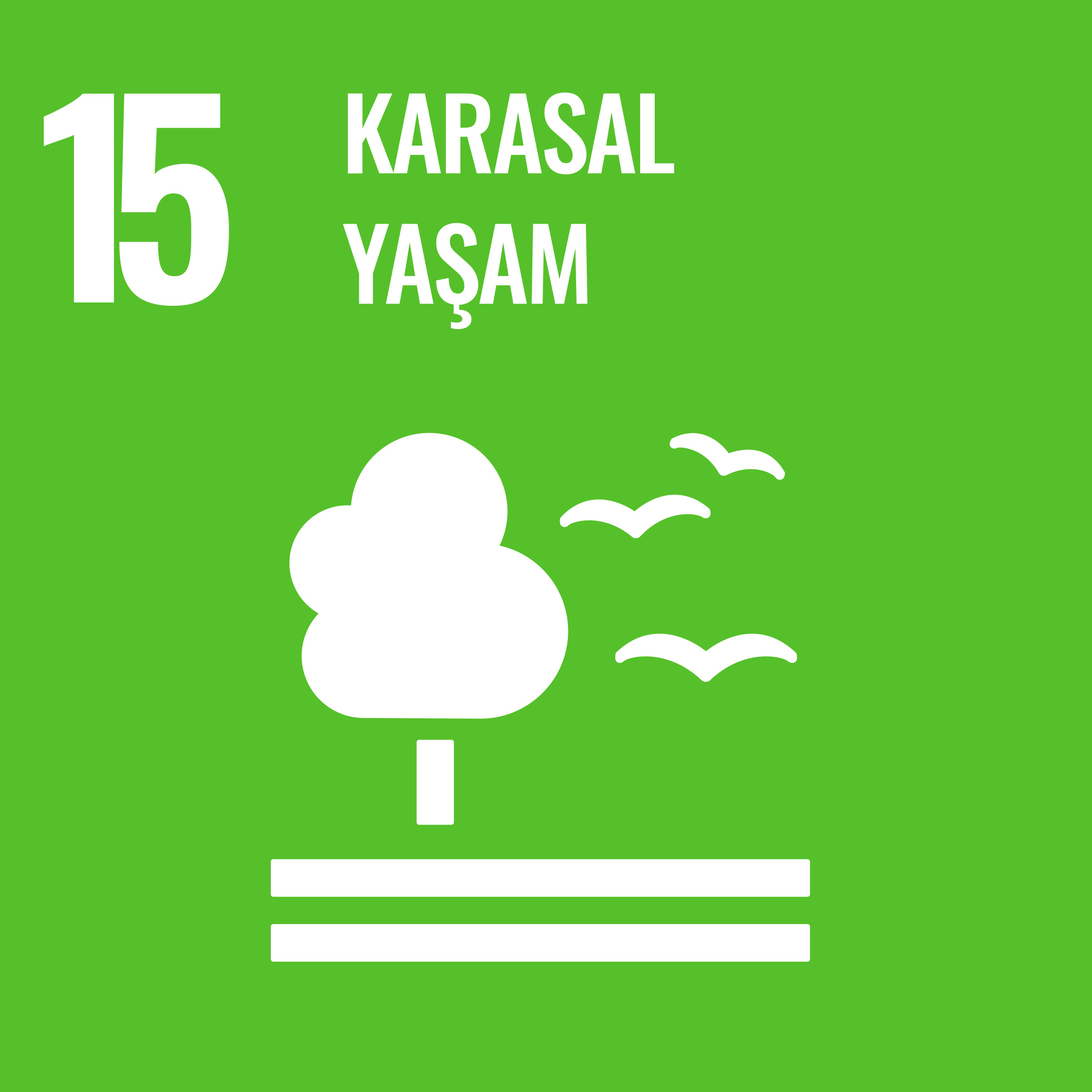 SDG-15